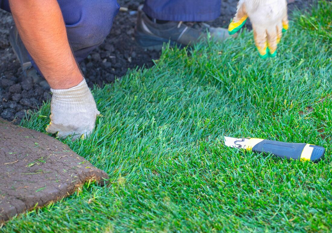 An image of Artificial Turf Services in Chino, CA